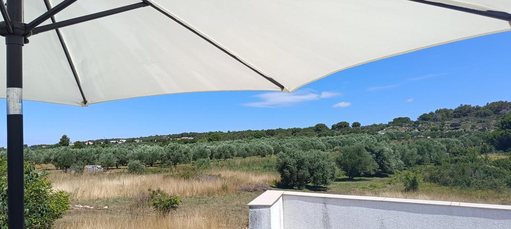 Apartmani Verde Zadar Eksteriør billede