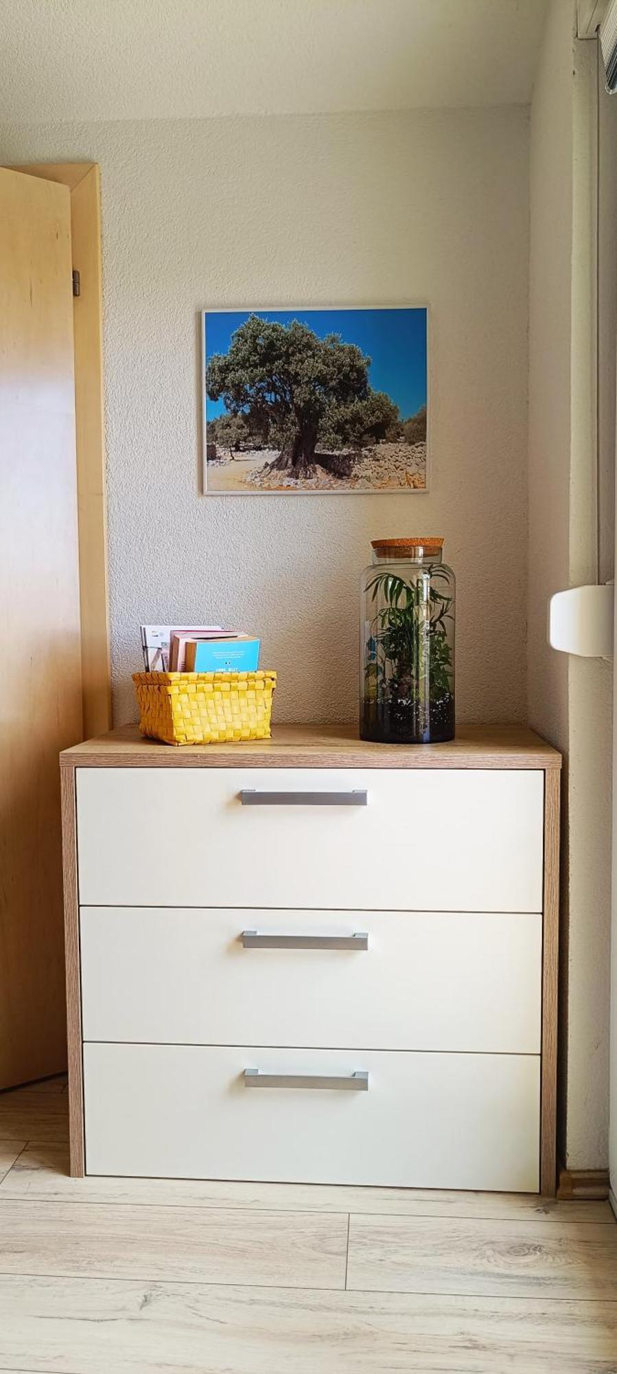 Apartmani Verde Zadar Eksteriør billede
