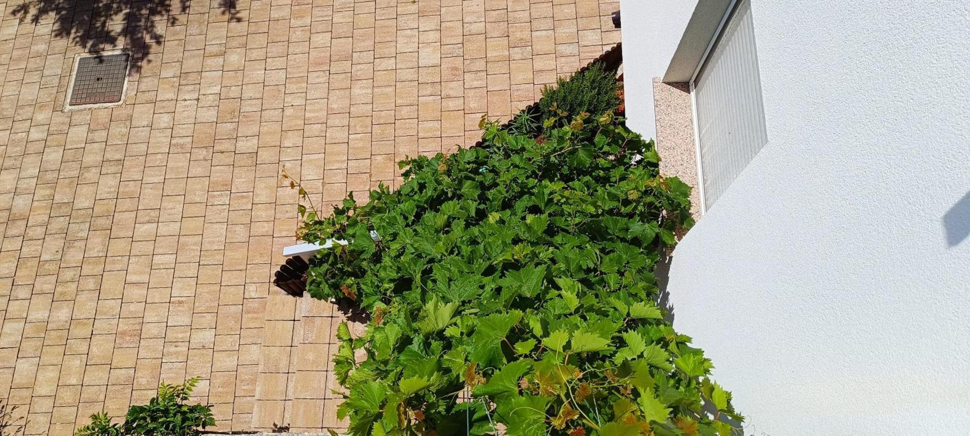 Apartmani Verde Zadar Eksteriør billede